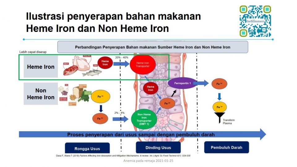 hari gizi nasional - anemia remaja 14